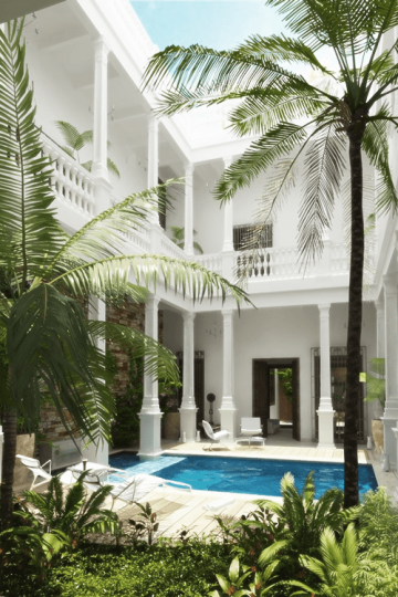 amazing courtyard pool palm trees