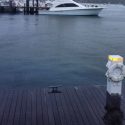 dock in the rain