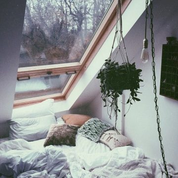 skylight bedroom plant