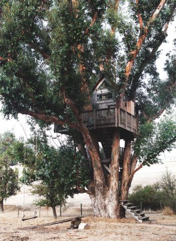 cool tree house in northern california by jillian guyette