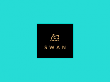 swan2