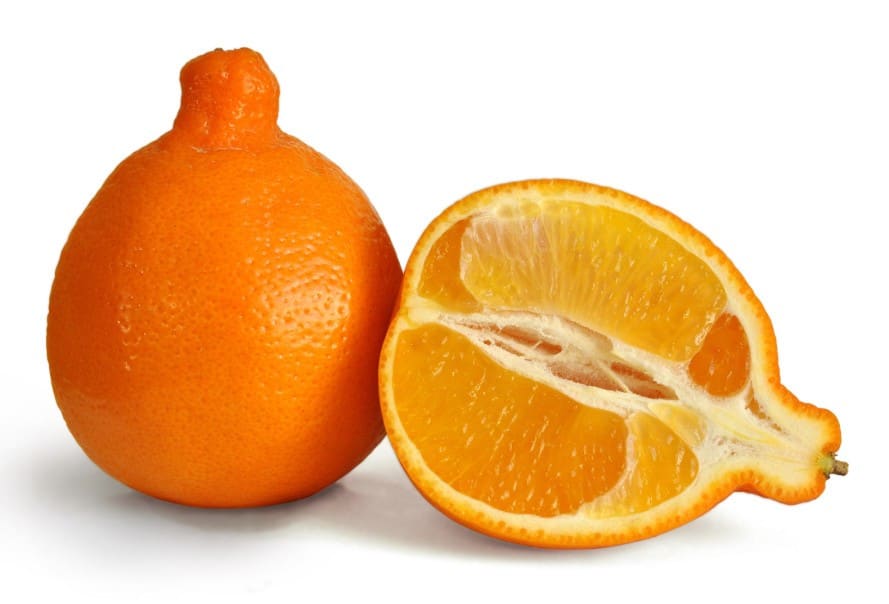 oranges