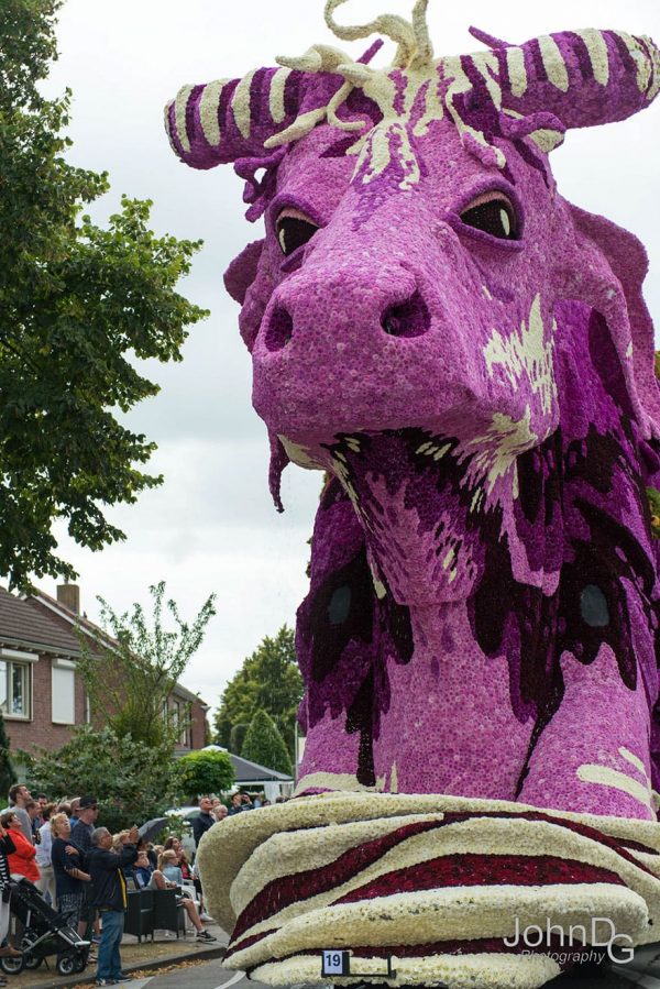 flower-sculpture-parade-corso-zundert-2016-netherlands-5