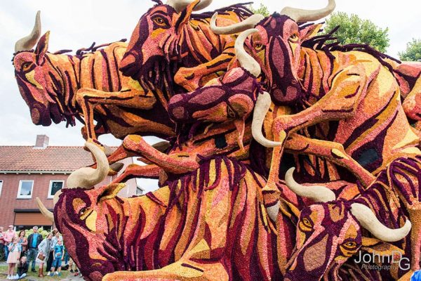 flower-sculpture-parade-corso-zundert-2016-netherlands-7