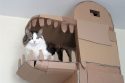 cardboard ark structure cat prefabcat 8